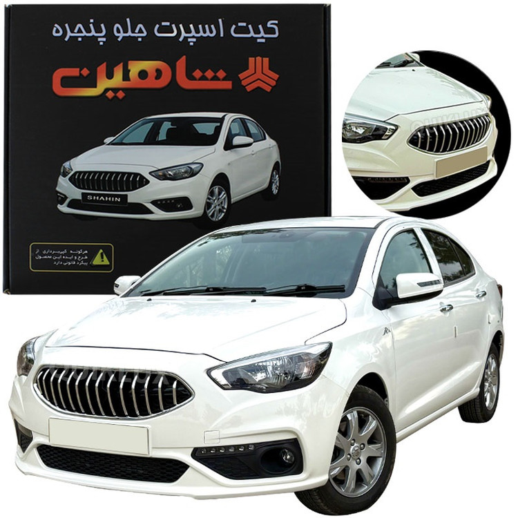 کیت آریزویی جلو پنجره شاهین دستی و اتومات